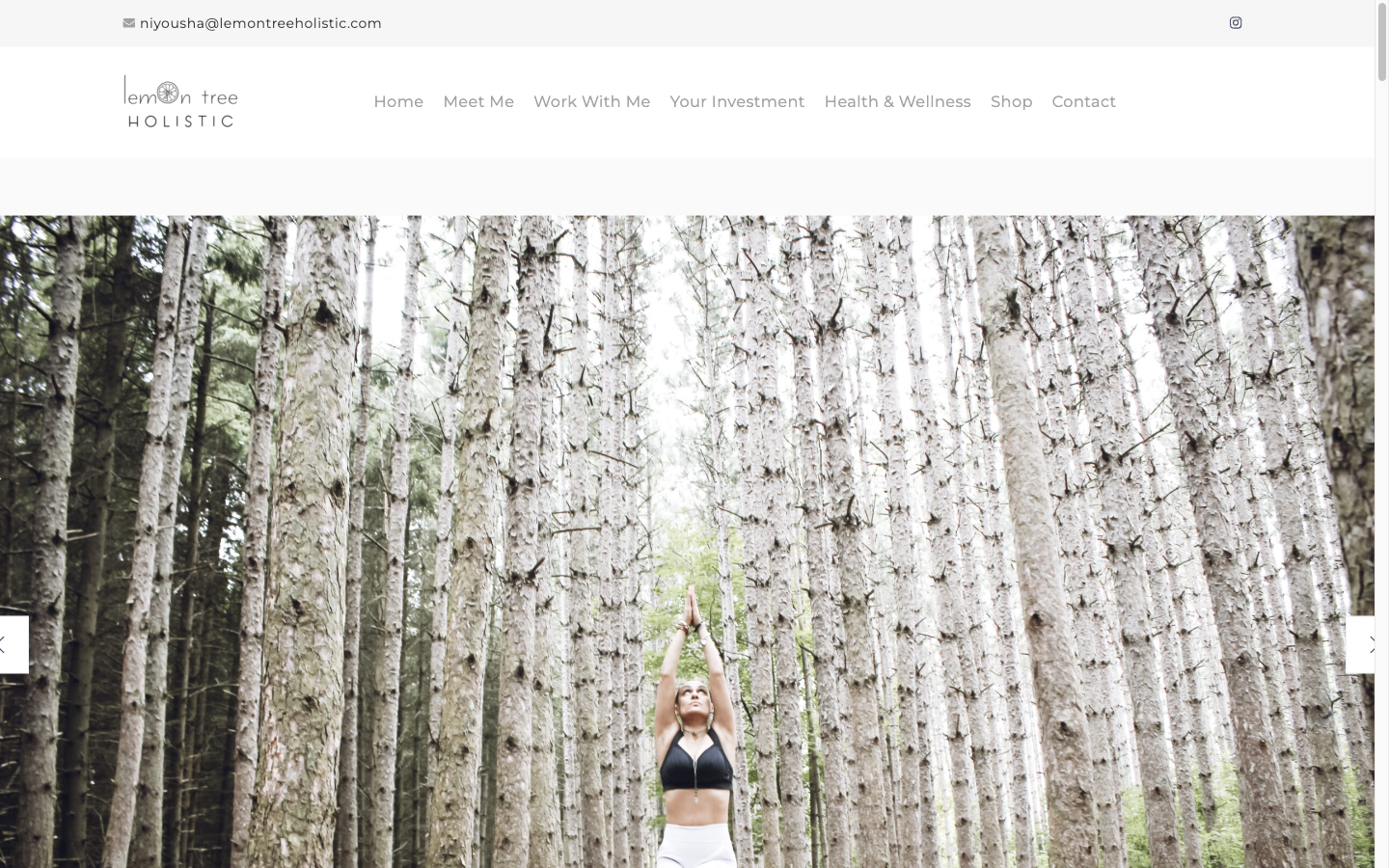 Lemon Tree Holistic screenshot